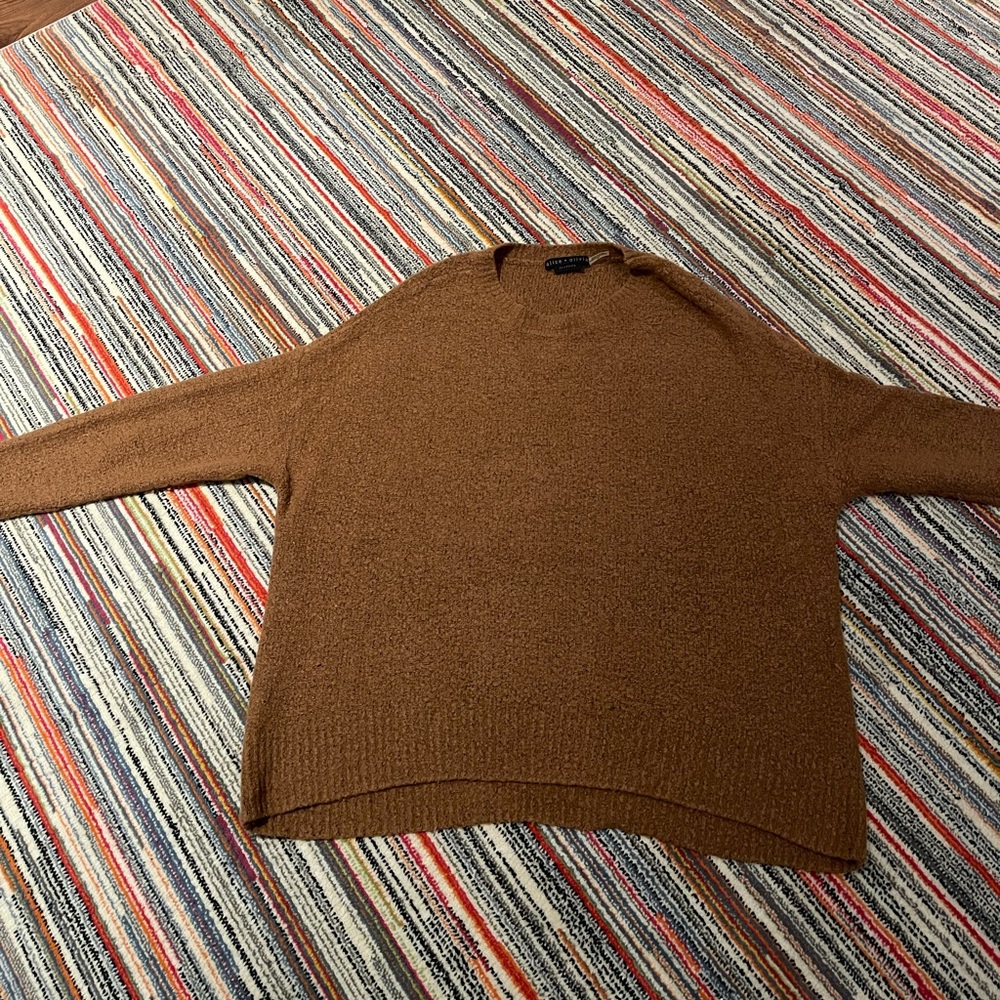 Alice and Olivia burnt orange sweater. Super soft and in great condition.